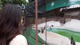 清纯纯欲天花板，D罩杯高贵血统白色肤色大美人