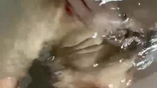 衬衣妹子双人啪啪秀口交玩逼逼第二部,舔硬后入沙发上干到床上大力猛插,很是诱惑喜欢不要错过